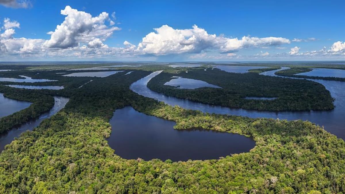 Sudamérica guarda una maravilla natural del mundo que ocupa 9 territorios: es un lugar que deslumbra por su inmensidad