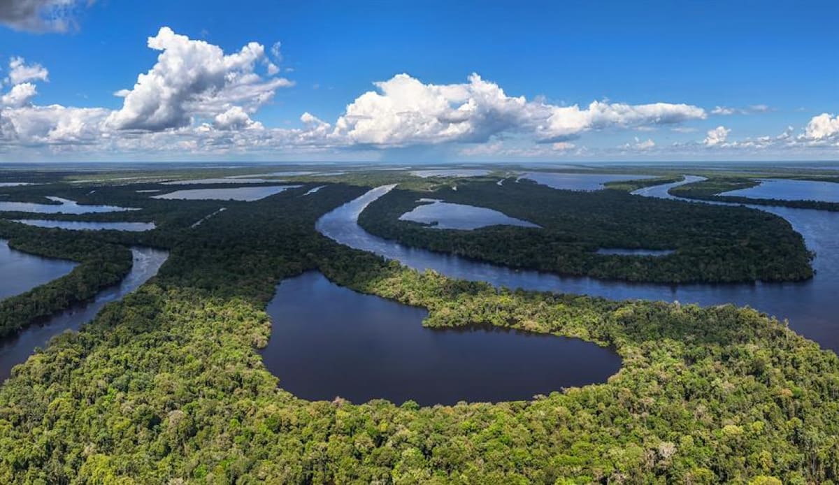 Amazonia. Fuente:EFE