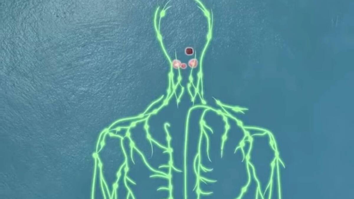 Amígdala. Foto: captura