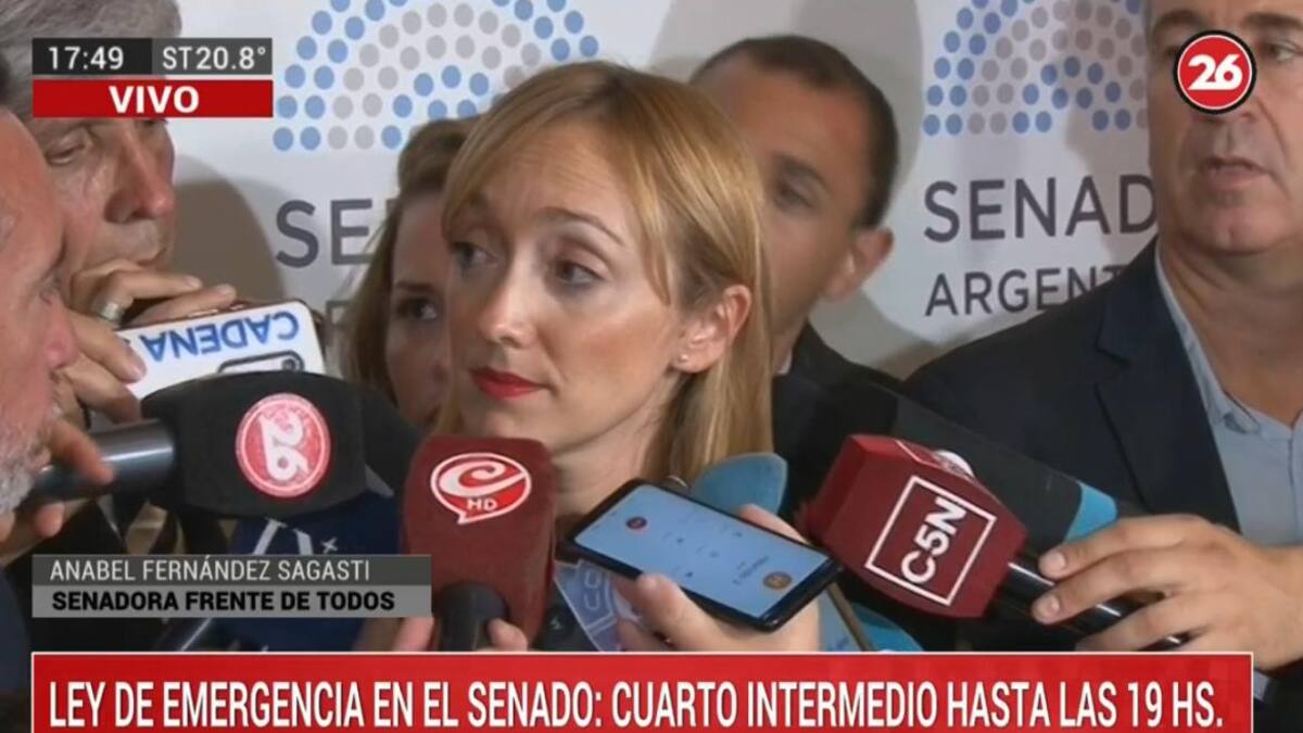 Anabel Fernández Sagasti sobre jubilaciones de privilegio y Ley de Emergencia Economica, CANAL 26