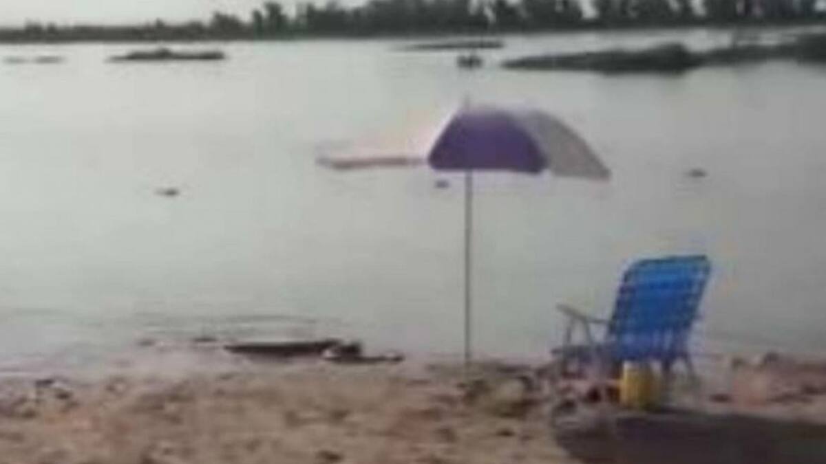 Anaconda en Entre Ríos