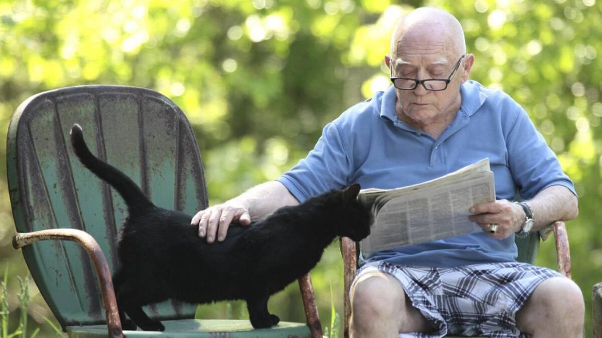 Ancianos y mascotas