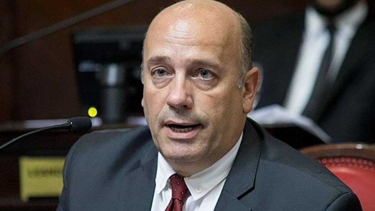 Andrés De Leo, presidente de Coalición Cívica, política, NA