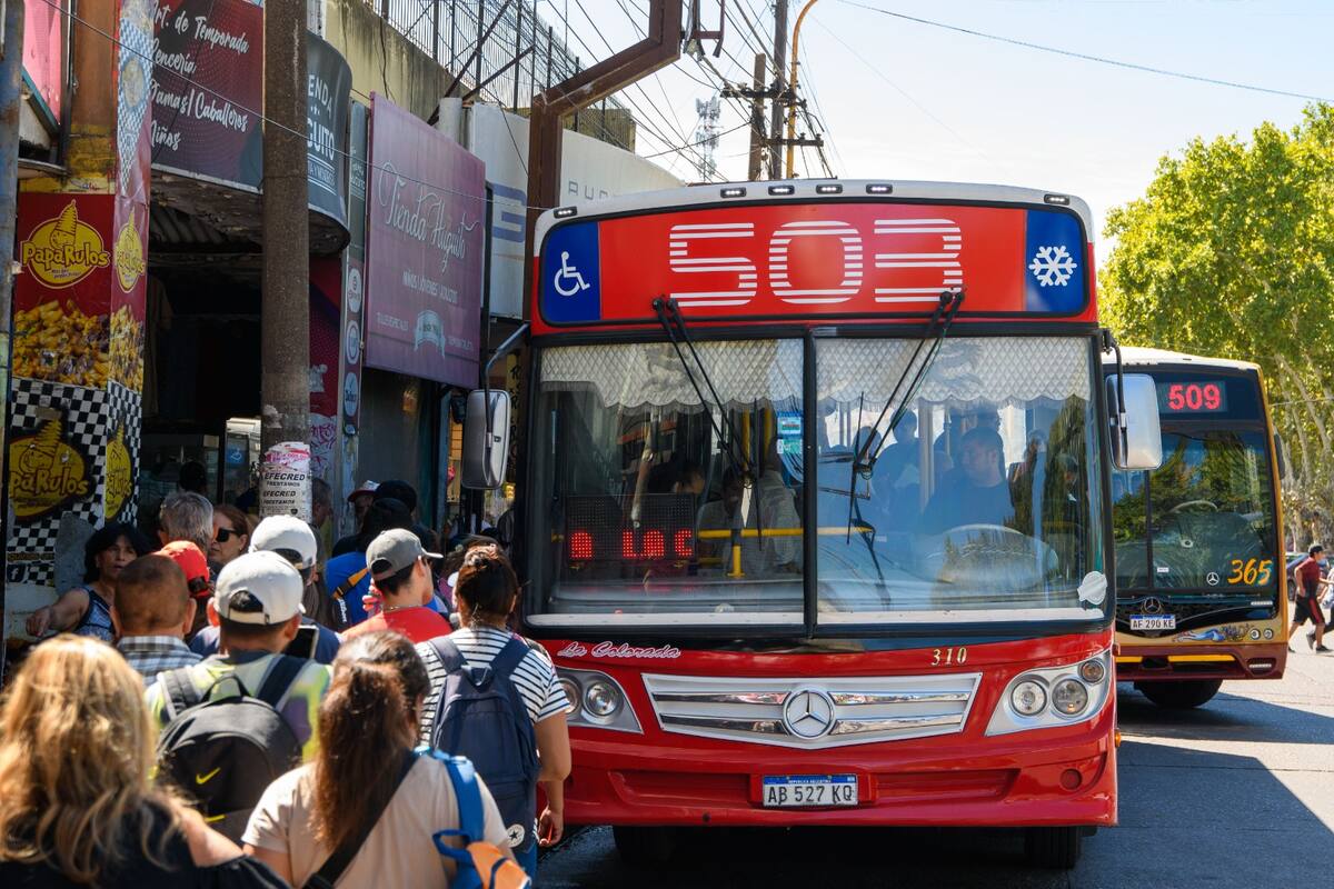 Andrés Watson anunció la normalización del servicio de las líneas locales.