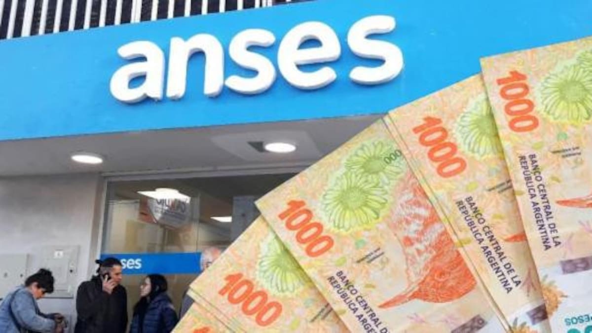 Nuevo bono de ANSES.