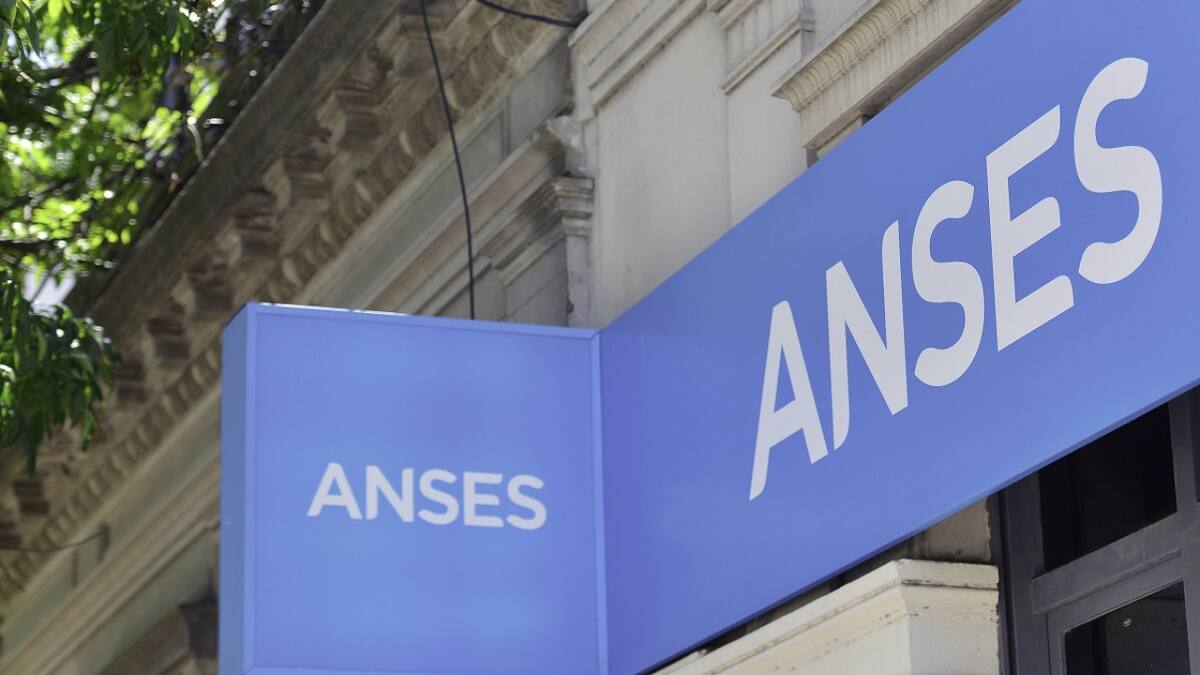 ANSES. Foto: NA.