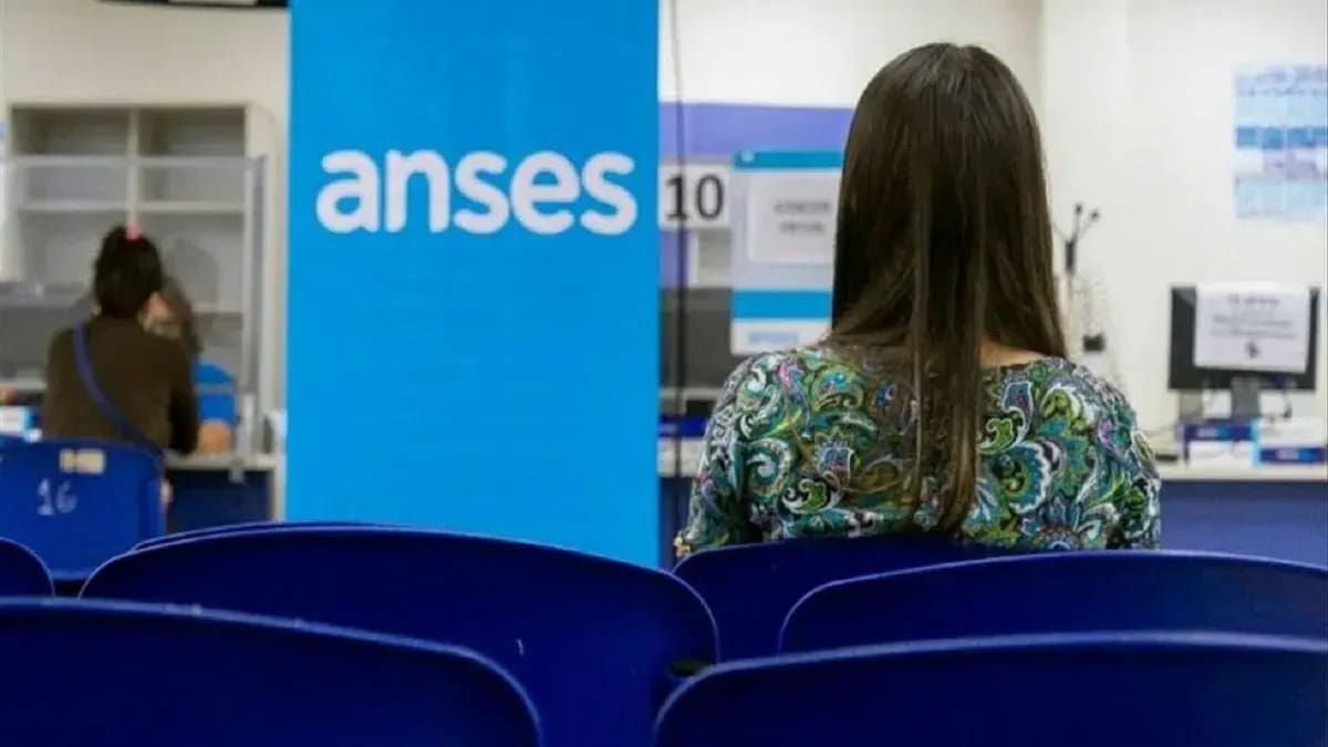 Confirmado por ANSES: calendario de pagos y montos actualizados de la Prestación por Desempleo para marzo 2026