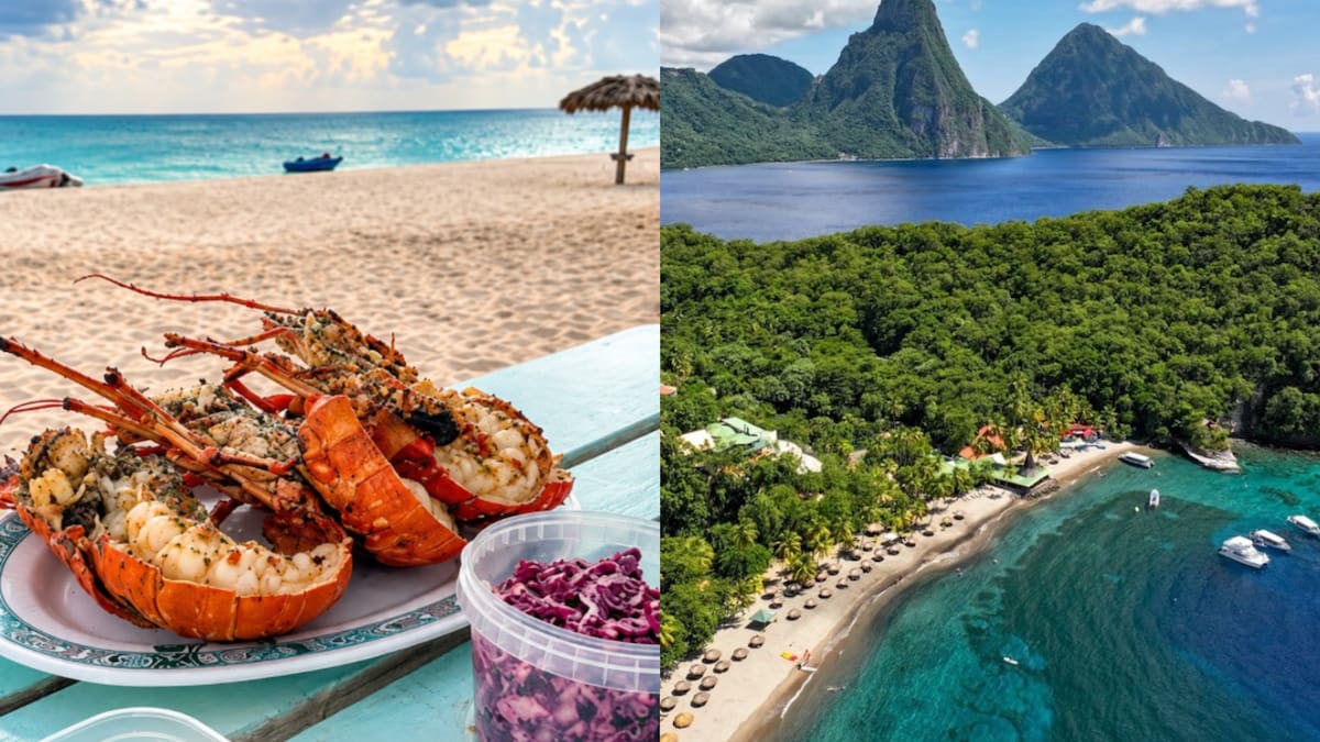Vacaciones todo el año: las 4 islas del Caribe que combinan playas paradisíacas con paisajes únicos, fauna marina y gastronomía de lujo