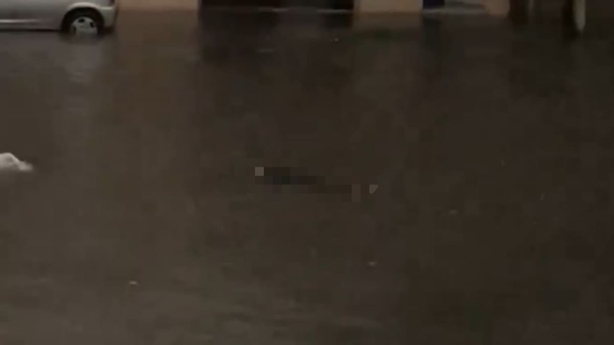 Apareció un cuerpo en Valentín Alsina en medio del temporal. Foto: captura video.