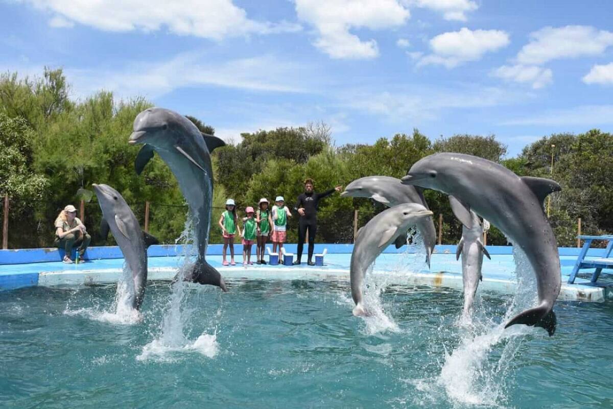 Aquarium de Mar del Plata. Foto: argentina.gob.ar