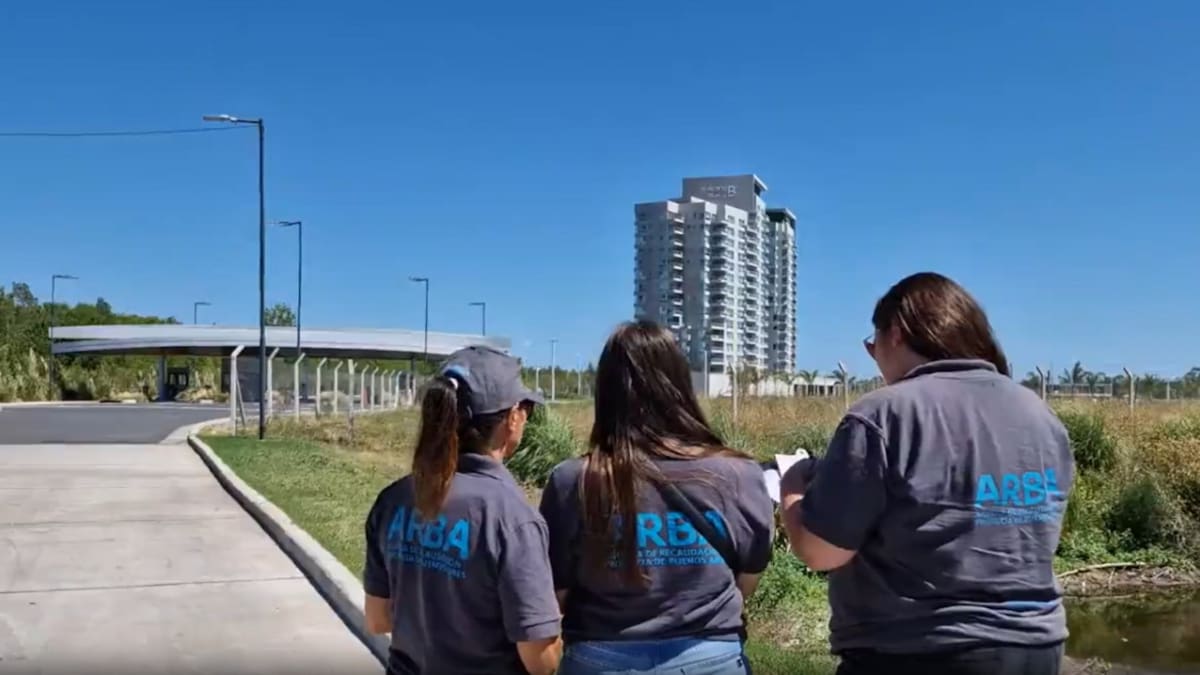 ARBA intimó a los dueños de dos torres de lujo que tributaban como baldíos: Alex Caniggia las había mostrado en un video viral