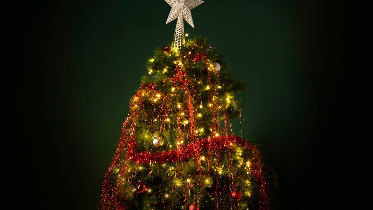 Nochebuena ilumina Buenos Aires: dónde se pueden visitar árboles de Navidad gratis en CABA