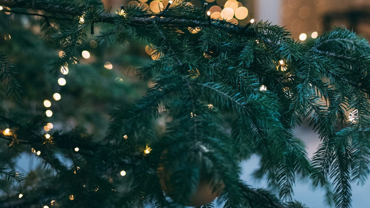 Árbol de navidad. Foto Unsplash