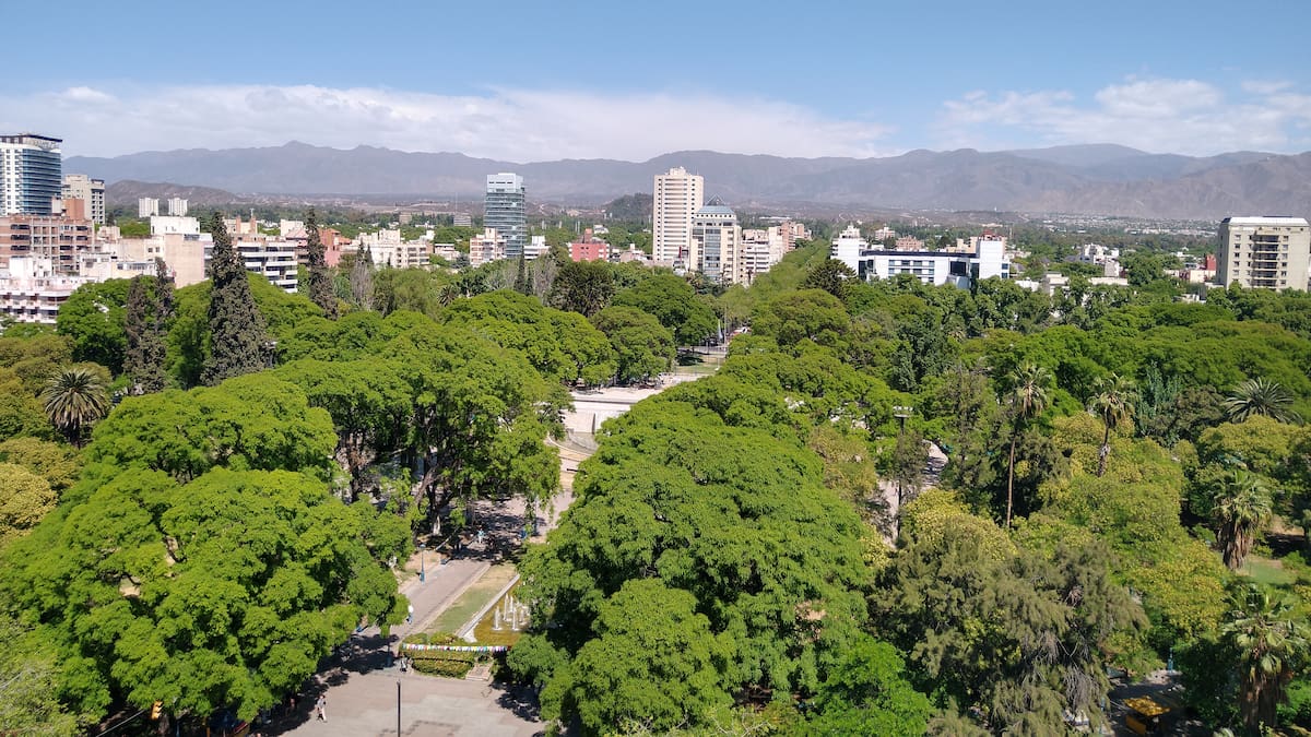 Impresionante: la provincia de Argentina que construyó un bosque urbano en pleno desierto y fue destacada mundialmente