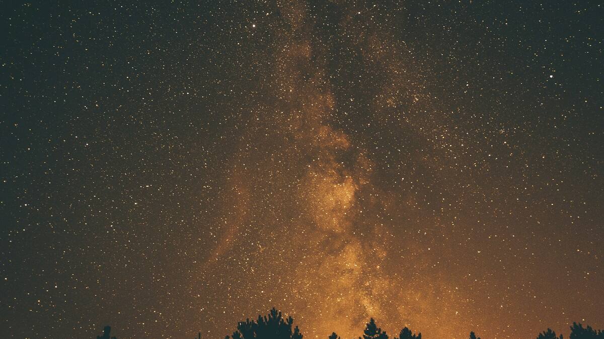 Un país de Europa tiene árboles que acumulan partículas de oro: el inédito hallazgo que podría cambiar la microbiología