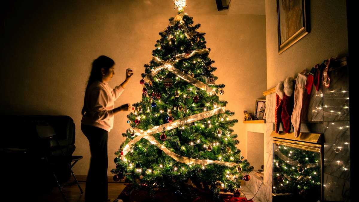 Arbolito de Navidad. Foto Unsplash