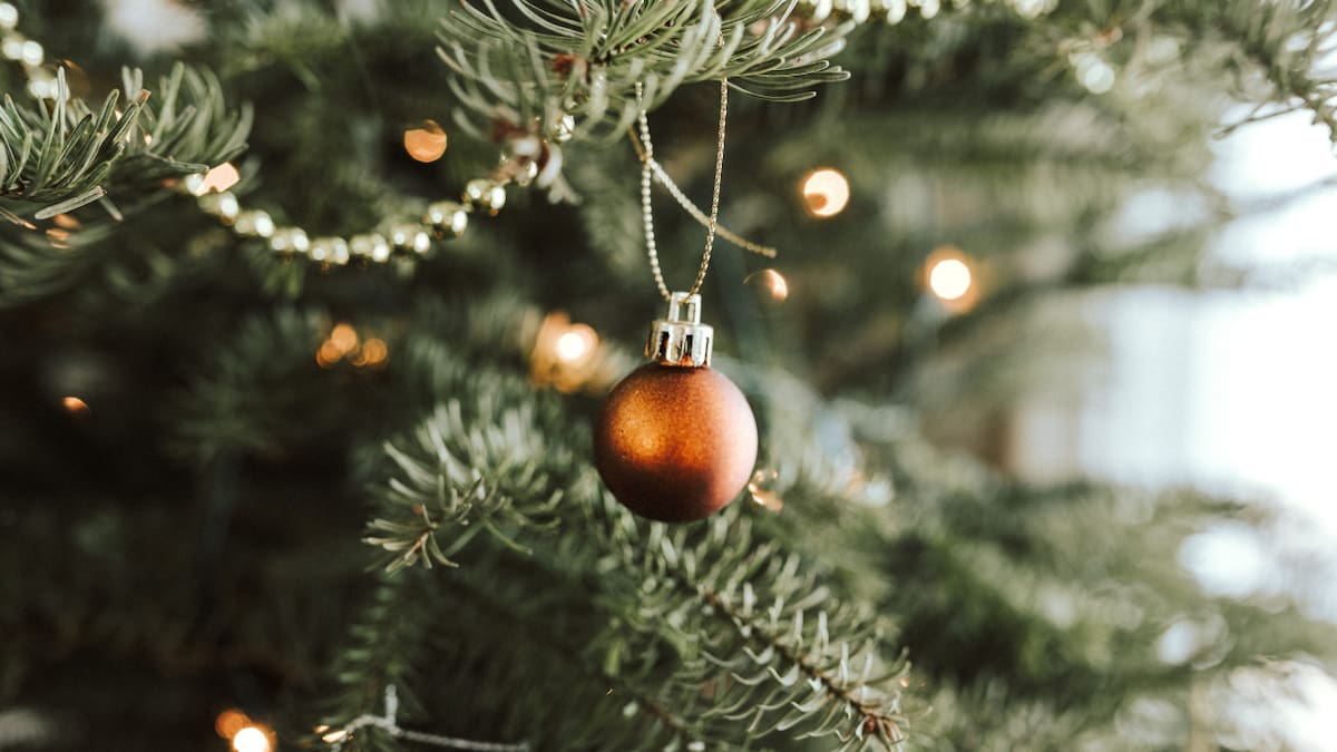 Arbolito de navidad. Foto: Unsplash