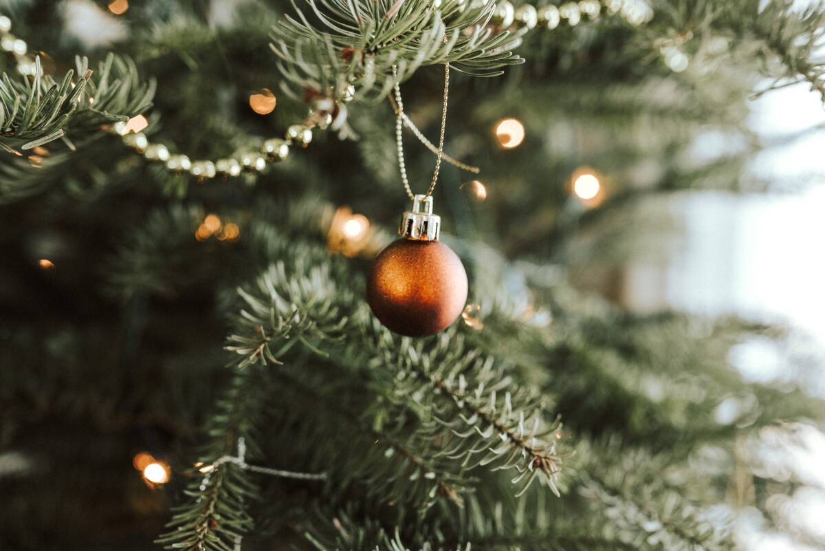 Arbolito de navidad. Foto: Unsplash