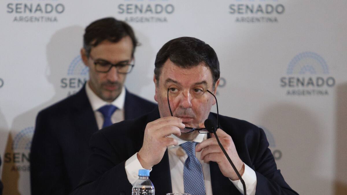 Ariel Lijo. Foto: NA / Daniel Vides