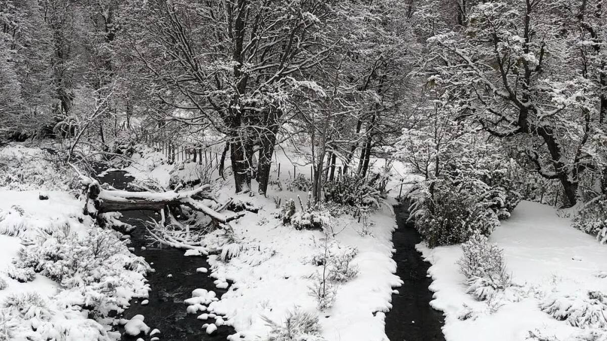El sorprendente arroyo que une dos océanos, pasa por los bosques patagónicos y cruza la mítica Ruta 40