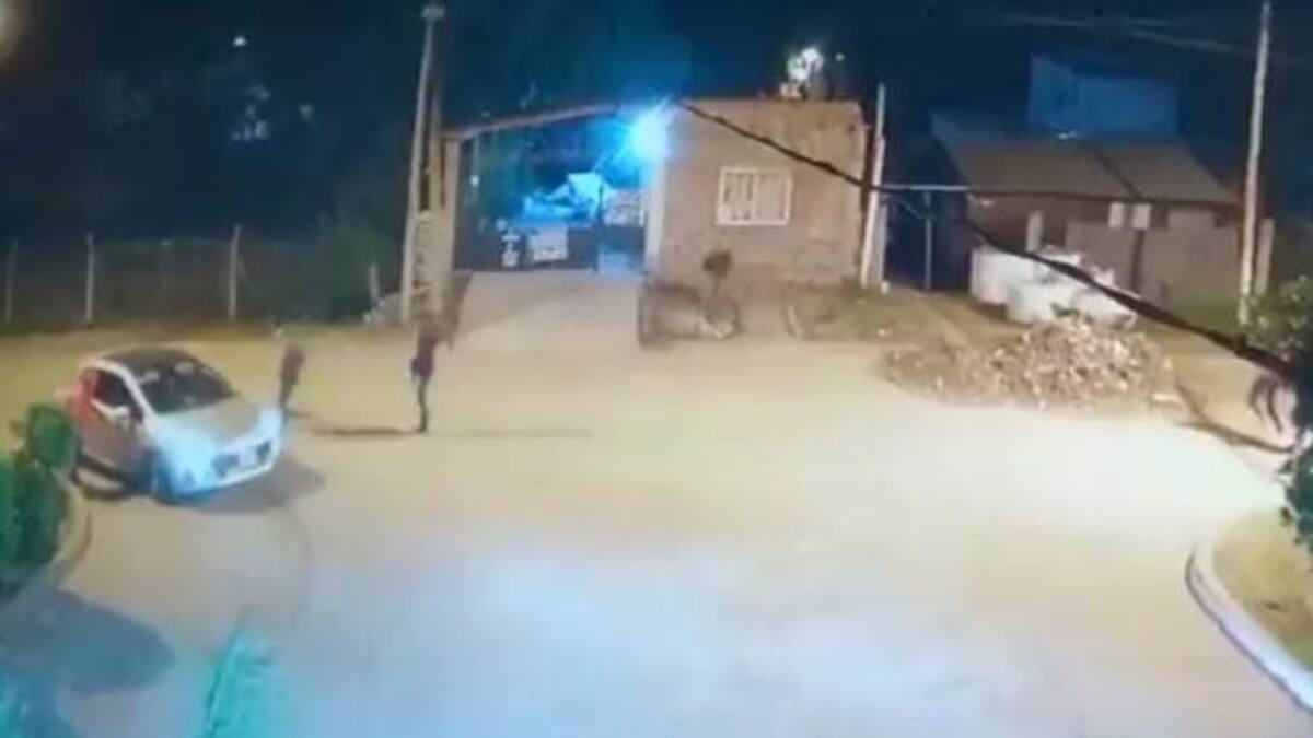 Asalto frente a hotel alojamiento, inseguridad, CANAL 26