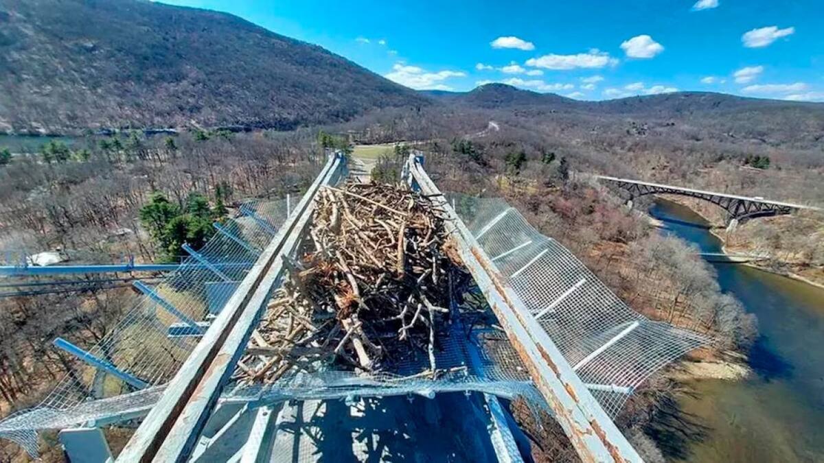 Así son los nidos de acero en Nueva York. Fuente: New York State Bridge Authority)