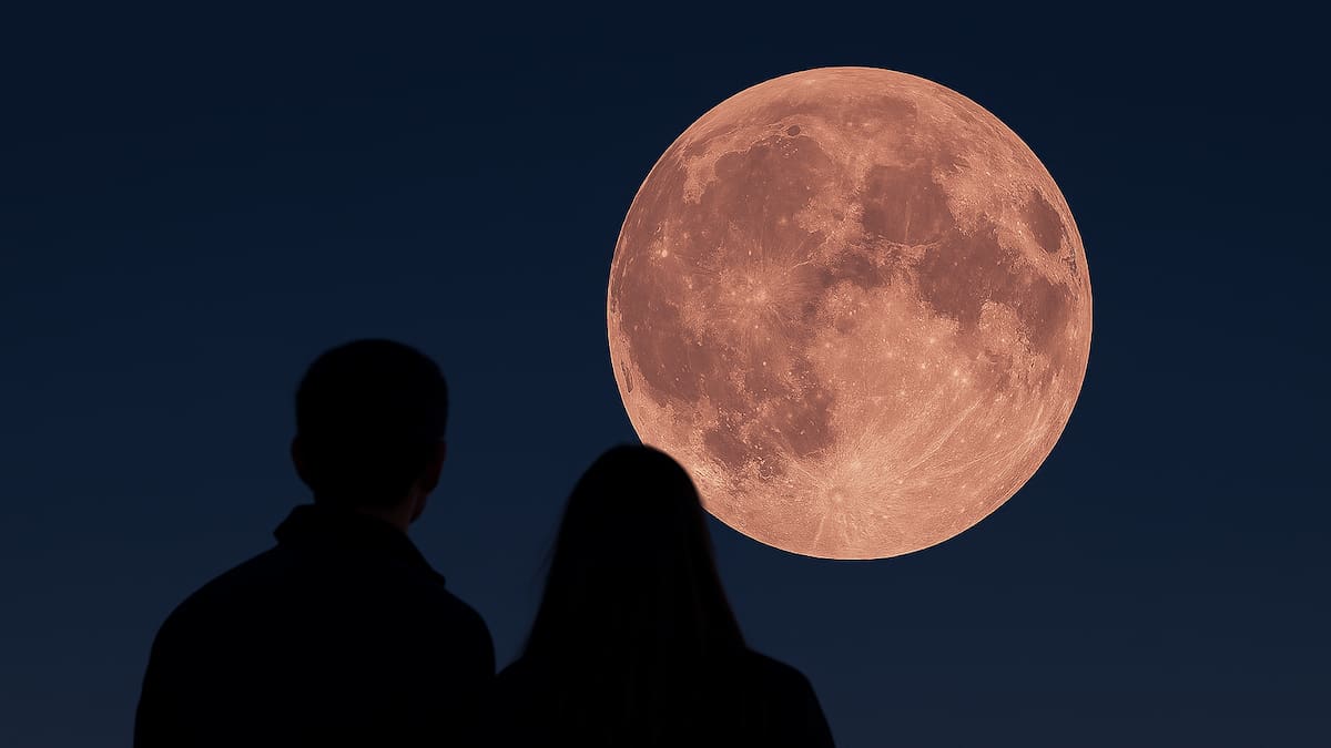 Luna Rosa 2026 en la Argentina: cuándo verla, qué significa y por qué genera tanta expectativa