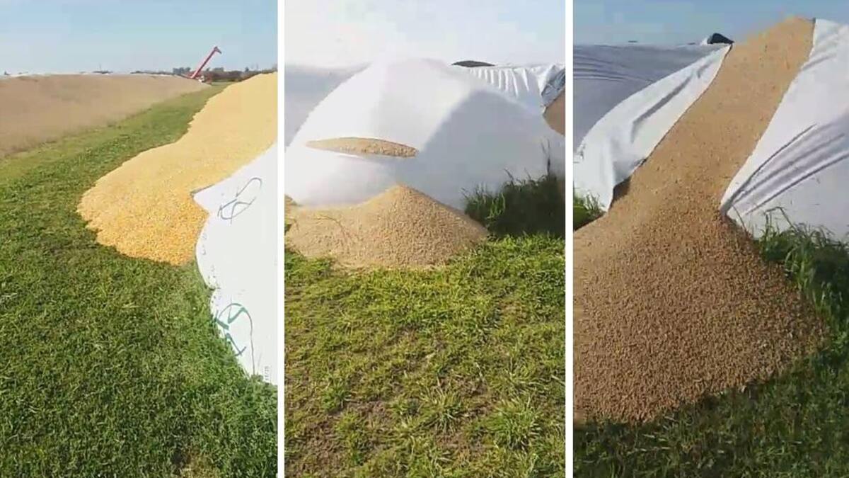 Ataque a Empresa Agropicado Lobos, Ricardo "Tete" Del Barrio, silobolsas, agropecuarios