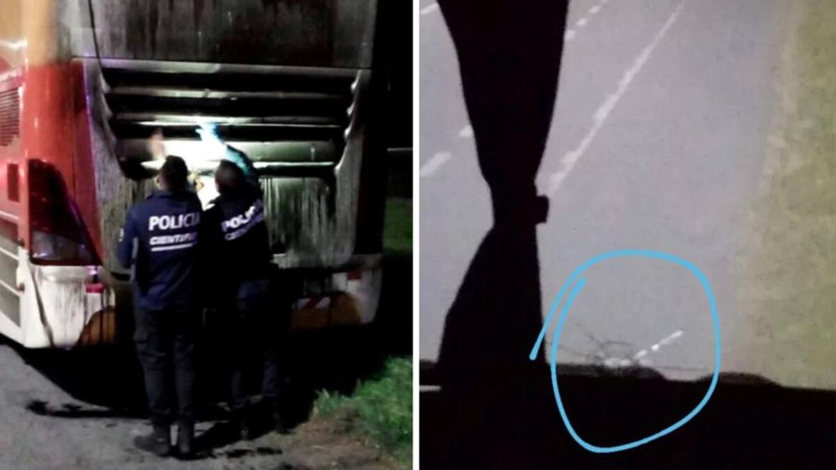 Ataque a micros de ruta 2. Fotos: Twitter.