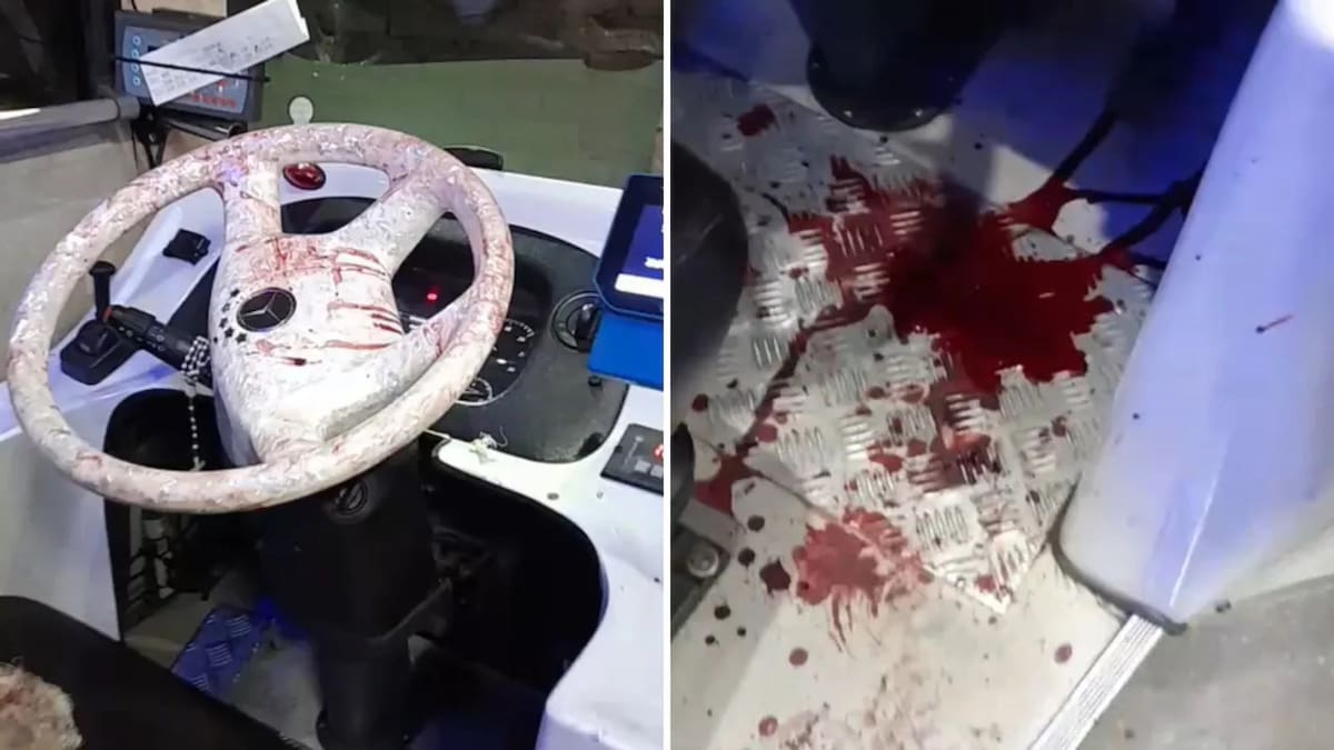 Ataque a un chofer de la línea 126. Foto: NA.