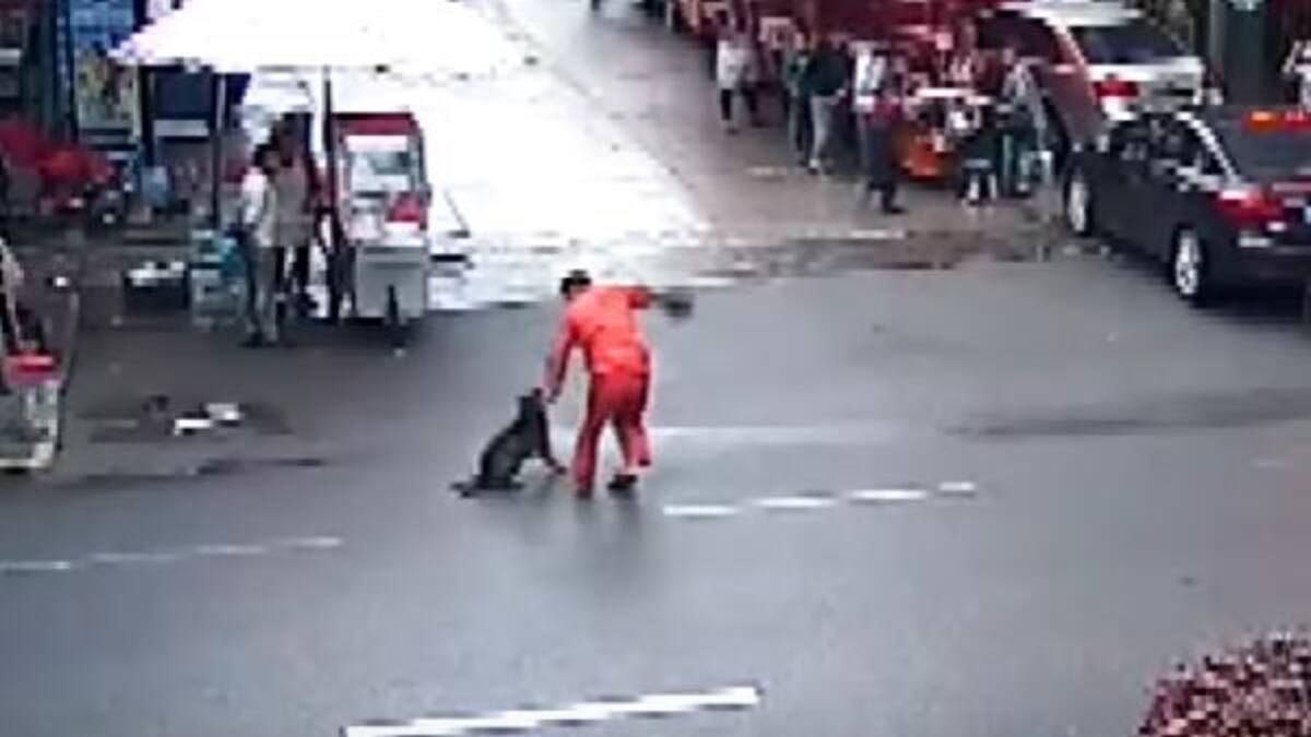 Ataque de perro feroz