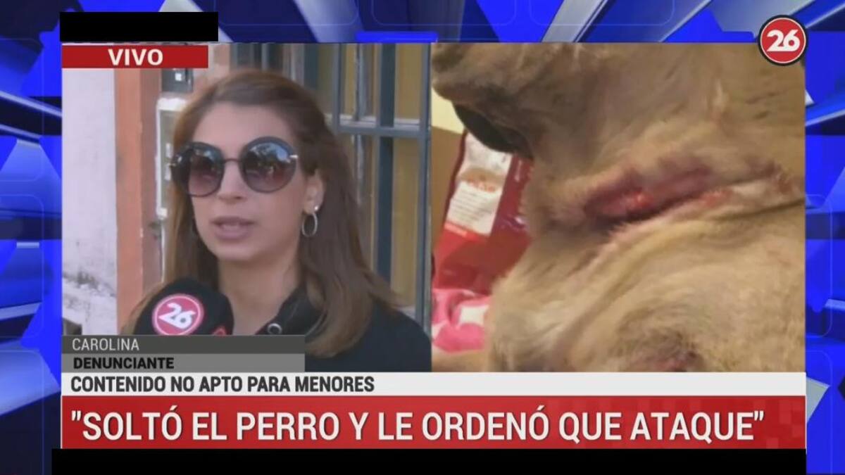 Ataque de pitbull en Saavedra - Habla denunciante Canal 26