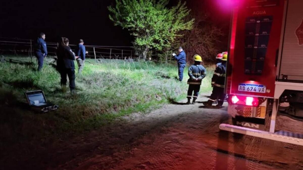 Ataque de una jauría a una niña de 10 años en Bolívar. Foto: NA.