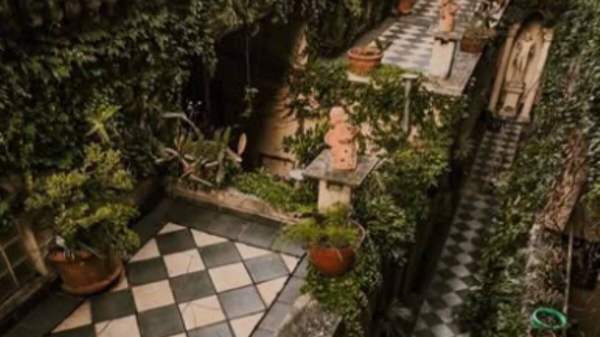 Un santuario botánico en pleno San Telmo: el bar escondido que combina historia, naturaleza y gastronomía