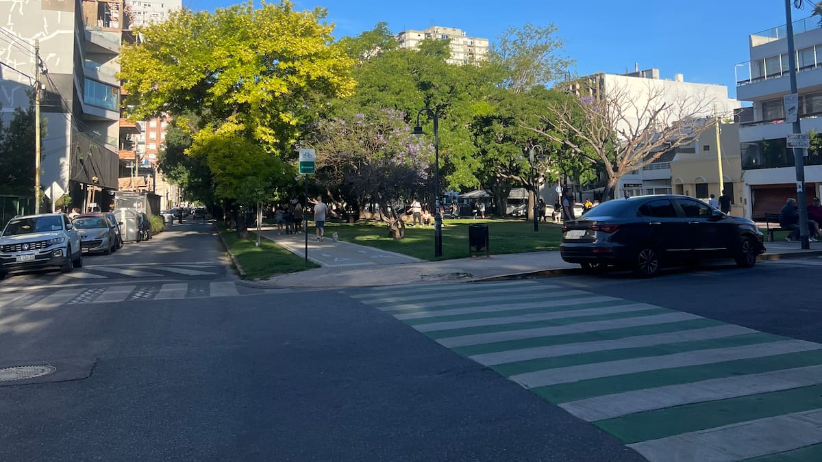Avenida García del Rio, Saavedra.
