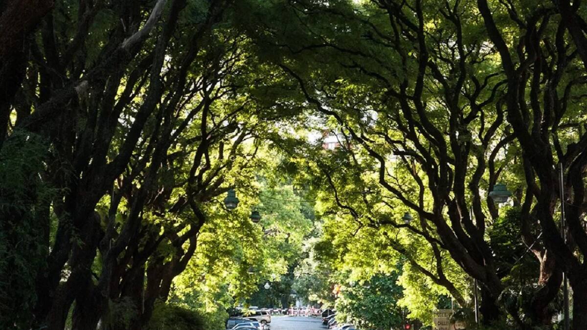 Avenida Melián. Foto: Gentileza Tiempo de Belgrano.