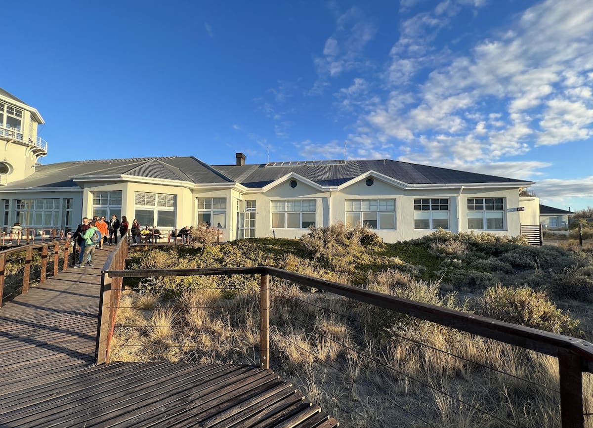 Avistaje de ballenas en El Doradillo, Puerto Madryn, Chubut. Foto: Pato Daniele