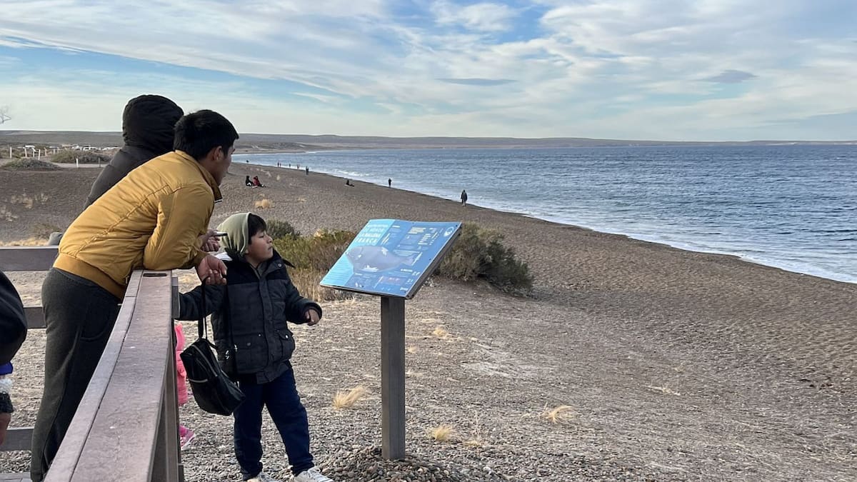 Avistaje de ballenas en El Doradillo, Puerto Madryn, Chubut. Foto: Pato Daniele