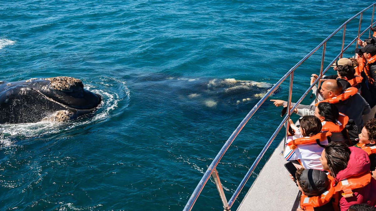 Entre acantilados y playas alucinantes: el pueblito patagónico donde el mar es turquesa y las ballenas se acercan a la costa