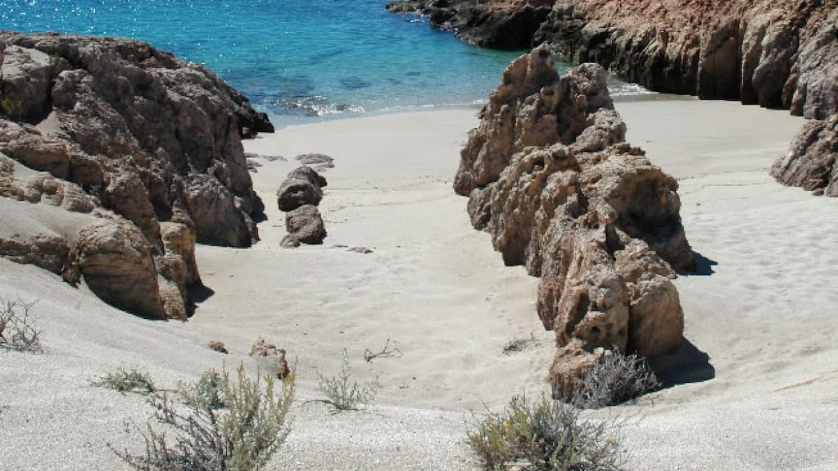 Bahía Bustamante, en Chubut. Foto: Bahía Bustamante Lodge.