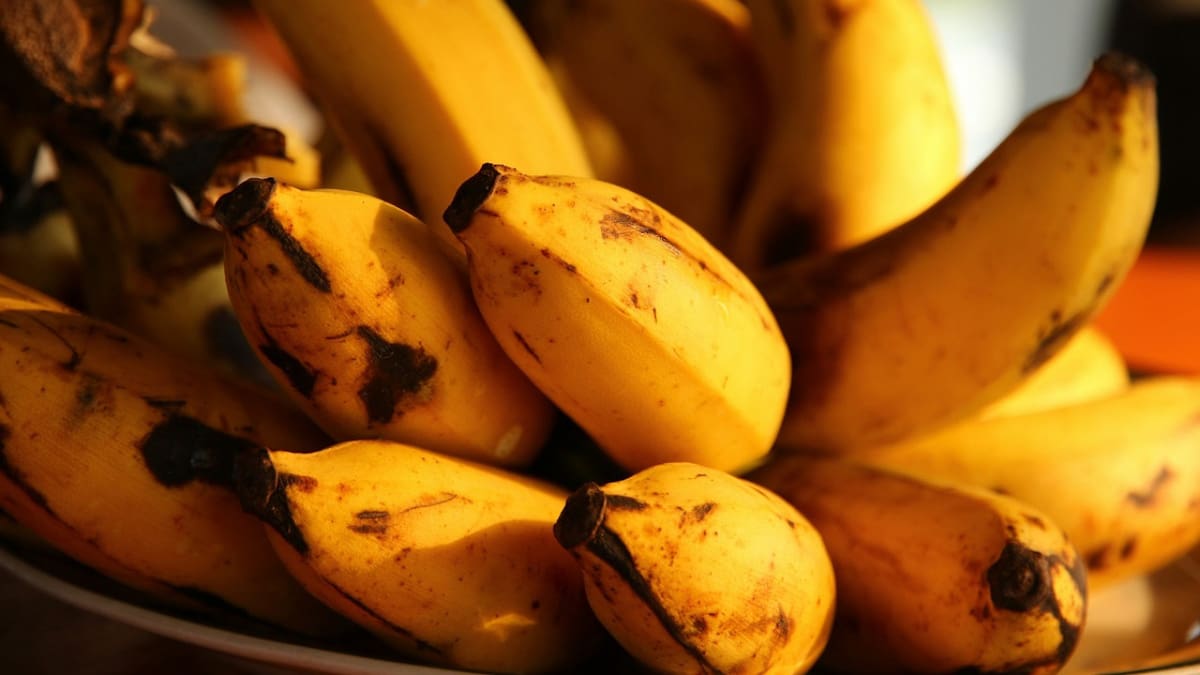 Bananas; frutas; alimentos. Foto: Unsplash.