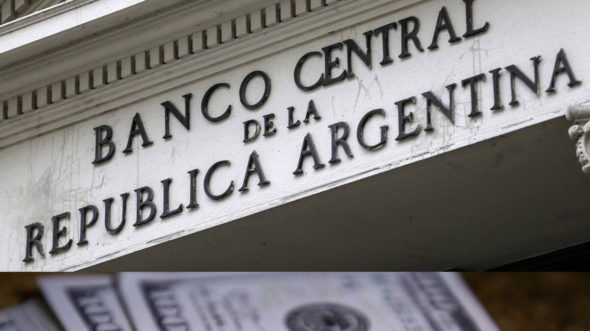 Banco Central de la República Argentina. Foto: NA.
