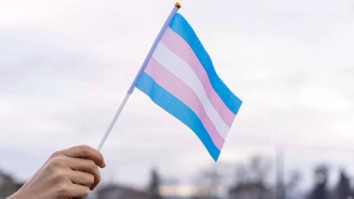 Bandera de comunidad Trans, NA
