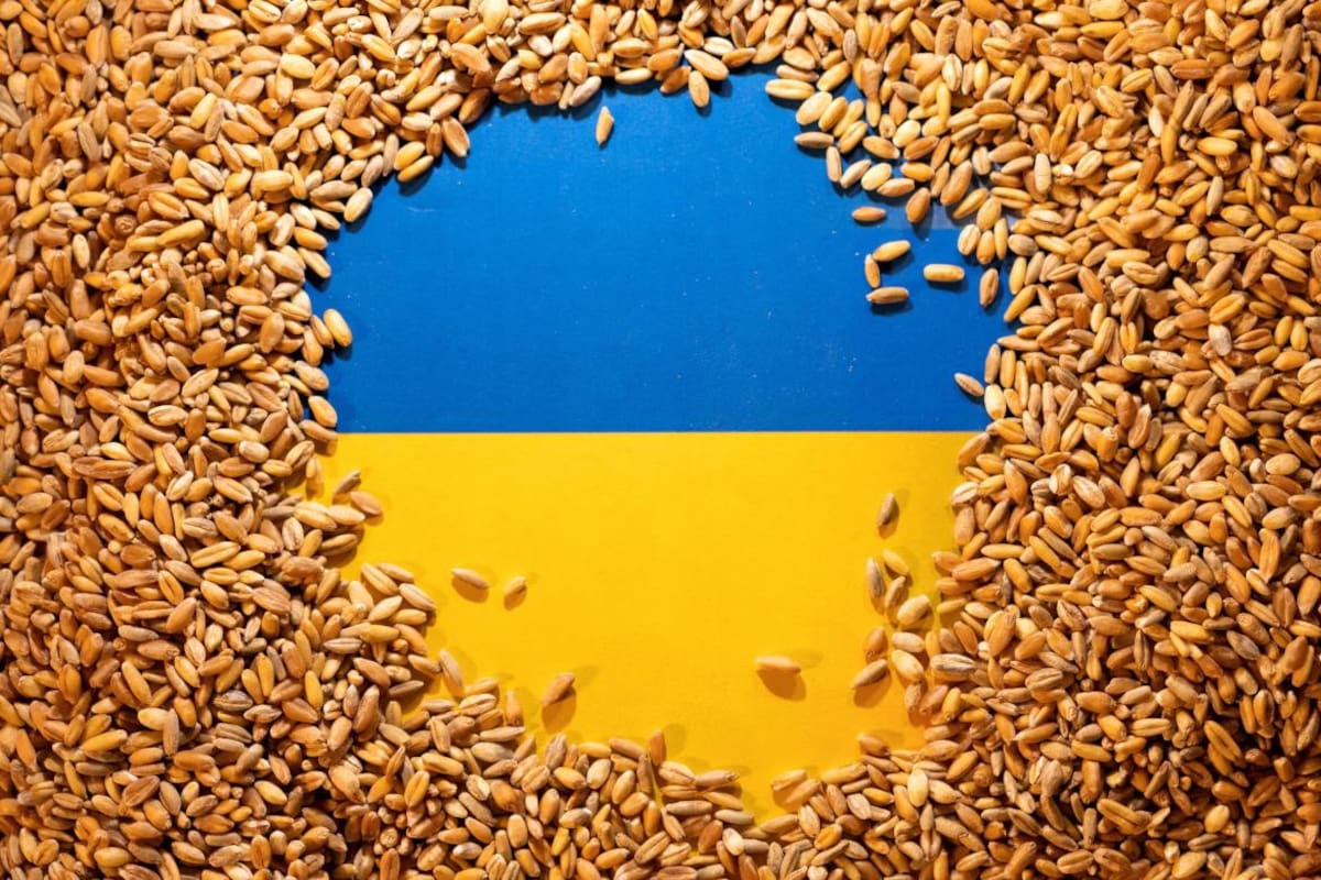 Bandera de Ucrania cubierta de grano de cereales. Foto: Reuters.