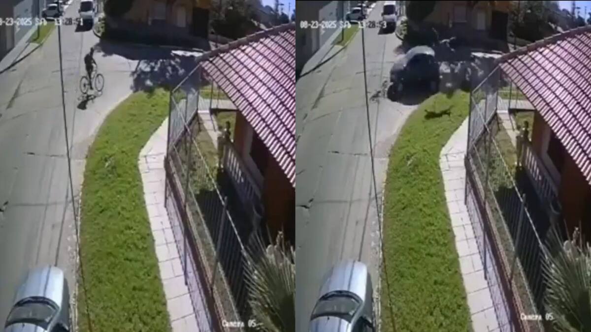 Video impactante: un automovilista atropelló a un ciclista a toda velocidad y se dio a la fuga