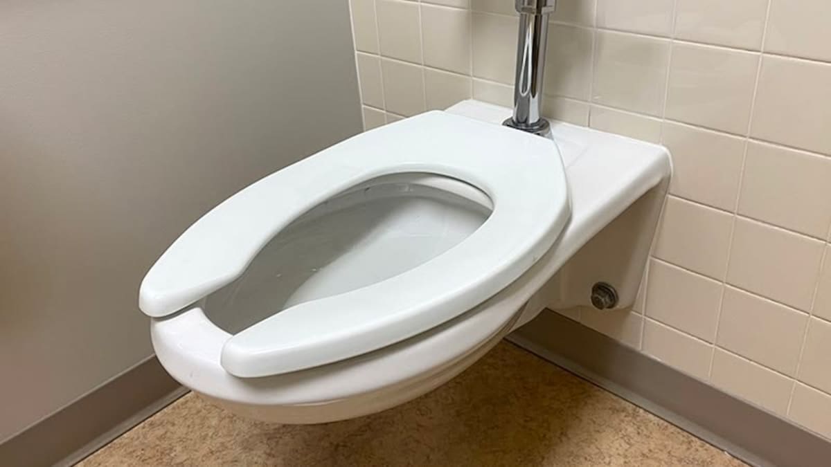 Un misterio revelado: para qué sirve la abertura del asiento de los inodoros en los baños públicos