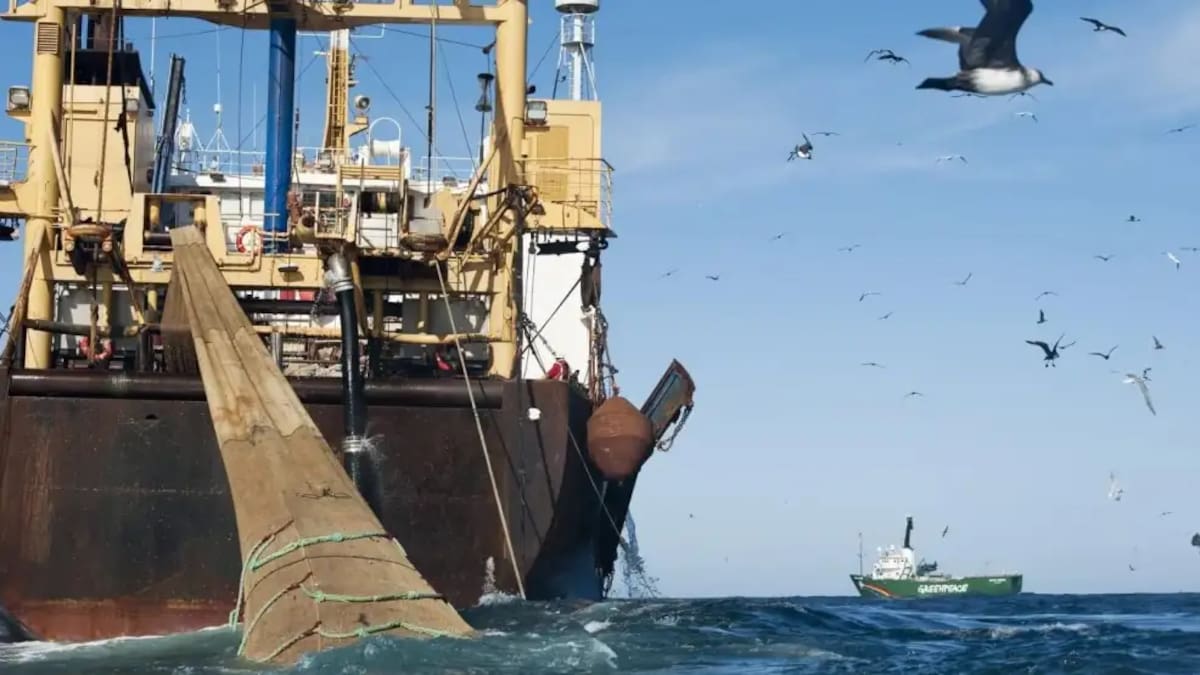 Denunciaron por “contrabando pesquero” a empresas que operan en el mar argentino con licencias británicas desde Malvinas