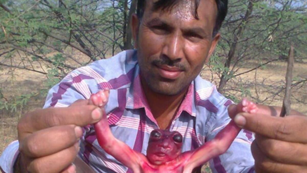 Bebé alienígena en la India