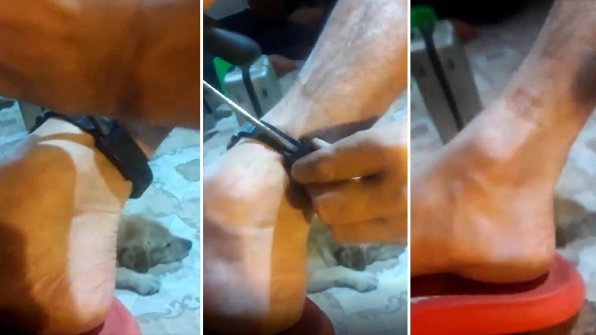 Bebote Álvarez rompió su tobillera electrónica