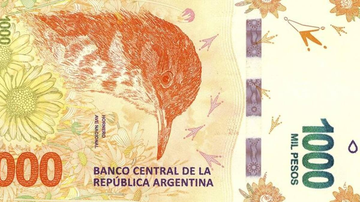 Billete de 1000 pesos, pesos argentinos, NA